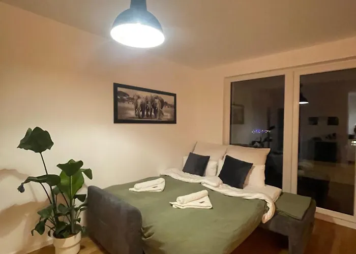 Grosszuegiges Designer * 쇼네펠드